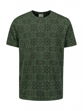 ΑΝΔΡΙΚΟ T-SHIRT | Πράσινο XL