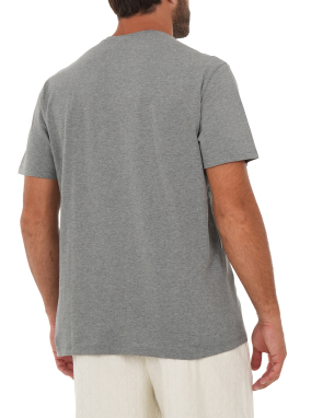 ΑΝΔΡΙΚΟ T-SHIRT | Γκρι XL