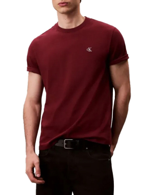 ΑΝΔΡΙΚΟ T-SHIRT | Μπορντό XL