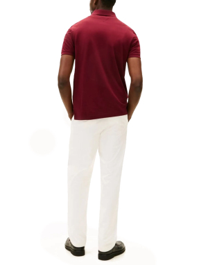 ΑΝΔΡΙΚΗ POLO ΜΠΛΟΥΖΑ | Μπορντό XL