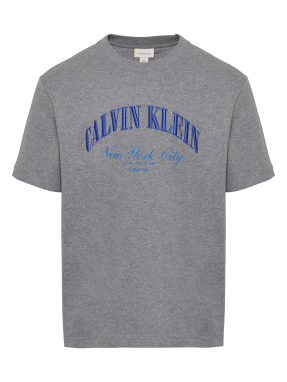 ΑΝΔΡΙΚΟ T-SHIRT | Γκρι XL