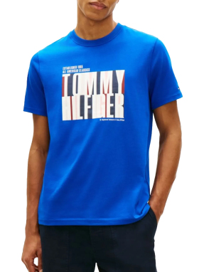 ΑΝΔΡΙΚΟ T-SHIRT | Μπλε M