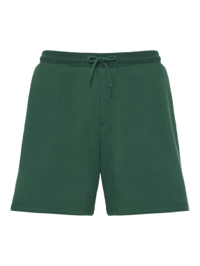 ΑΝΔΡΙΚΟ ΣΟΡΤΣ | Πράσινο L