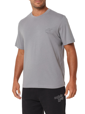 ΑΝΔΡΙΚΟ T-SHIRT | Γκρι L
