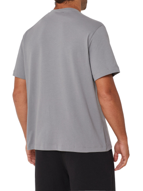 ΑΝΔΡΙΚΟ T-SHIRT | Γκρι L