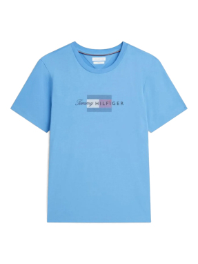 ΑΝΔΡΙΚΟ T-SHIRT | Μπλε L