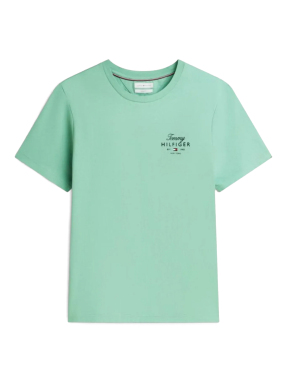 ΑΝΔΡΙΚΟ T-SHIRT | Πράσινο Ανοιχτό L