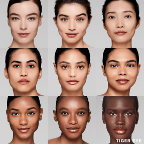 PURE COLOR HI-LUSTRE LIPSTICK | 3,5gr 111 Tiger Eye