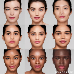 PURE COLOR CREME LIPSTICK | 3,5gr 131 Bois De Rose