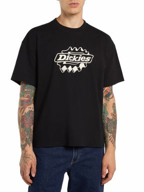 ΑΝΔΡΙΚΟ T-SHIRT IRONDALE | Μαύρο S