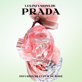 PRADA INFUSION DE ROSE EAU DE PARFUM | 100ml
