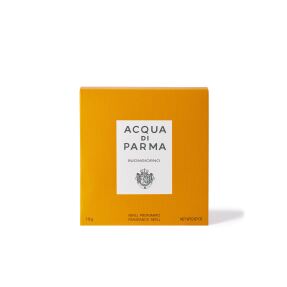 BUONGIORNO REFILL FOR CAR DIFFUSERS | 19gr