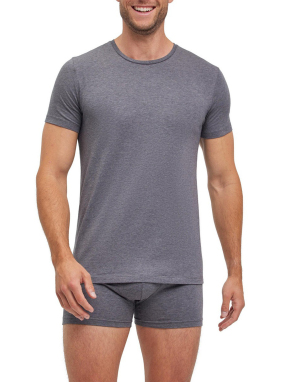 ΑΝΔΡΙΚΟ T-SHIRT ΣΕΤ 2 ΤΜΧ | Γκρι XXL