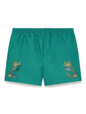 ΑΝΔΡΙΚΟ ΜΑΓΙΟ SHORTS | Τυρκουάζ S