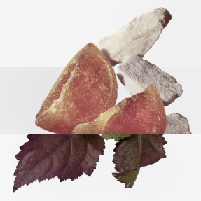 ÉLIXIR DES MERVEILLES CALLIGRAPHIE EAU DE PARFUM | 100ml