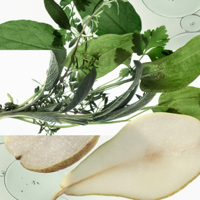 H24 HERBES VIVES EAU DE PARFUM | 50ml