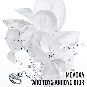 HYDRA LIFE FRESH SORBET CREME HYDRATING CREAM