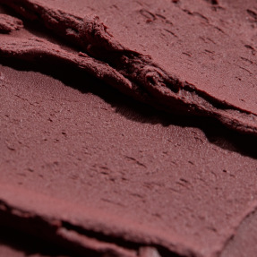 PHYTO-BLUSH TWIST | 5,5gr 10 Fig