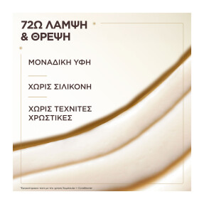 BOTANIC THERAPY CONDITIONER ΛΑΜΨΗΣ ΜΕ ΧΑΜΟΜΗΛΙ & ΜΕΛΙ ΑΝΘΕΩΝ | 200ml