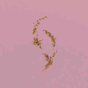 THE ALCHEMIST'S GARDEN FADING AUTUMN ACQUA PROFUMATA EAU DE TOILETTE | 150ml