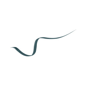 LINER IDÔLE | 1ml 04-Emerald Green