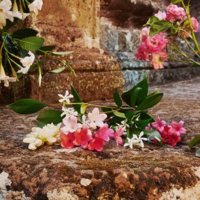 GUCCI BLOOM EAU DE TOILETTE | 30ml