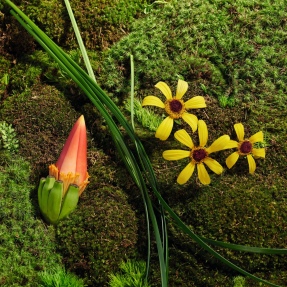 MARC JACOBS DAISY WILD EAU SO EXTRA EAU DE PARFUM FOR WOMEN | 30ml