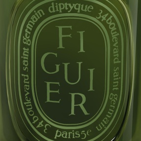 FIGUIER SCENTED CANDLE | 300gr