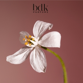 VELVET TONKA EAU DE PARFUM | 100ml