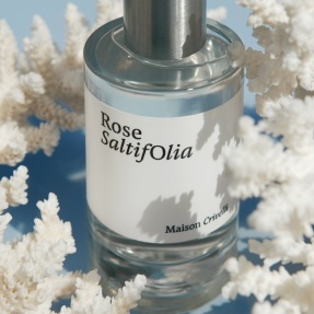 ROSE SALTIFOLIA EAU DE PARFUM | 30ml