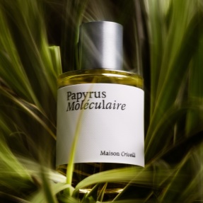 PAPYRUS MOLÉCULAIRE EAU DE PARFUM | 30ml