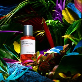 AMBRE CHROMATIQUE EXTRAIT DE PARFUM | 50ml