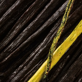 AMBRE CHROMATIQUE EXTRAIT DE PARFUM | 50ml