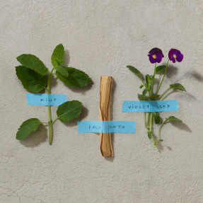 BOLD BLEND EAU DE PARFUM | 100ml