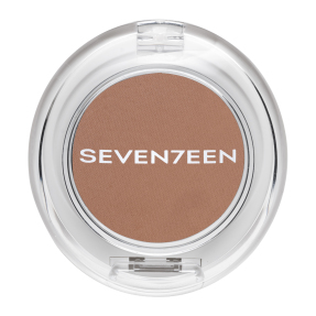 SILKY SHADOW MATT | 4gr 01 Café au Lait