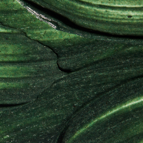 REFINING FACIAL POLISHER | 100ml