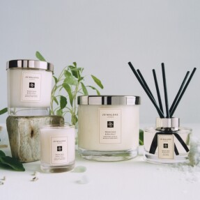 WOOD SAGE & SEA SALT  DIFFUSER | 165ml