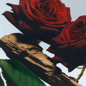 VELVET ROSE & OUD ALL OVER BODY SPRAY | 125ml