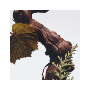 CYPRESS & GRAPEVINE SIGNATURE DUO | SET