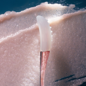 THE LIP POLISH | 15ml