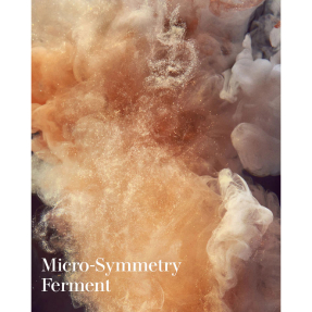 THE SERUM ESSENCE | 30ml