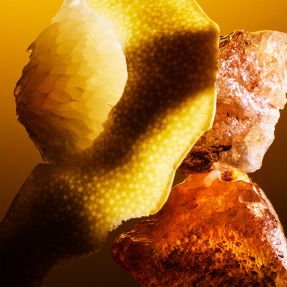 LE GEMME TYGAR EXTRAIT PARFUM | 60ml