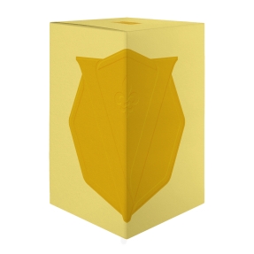 MATTUTINO EAU DE PARFUM | 100ml