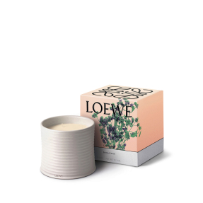 OREGANO LARGE SCENTED CANDLE | 2120gr