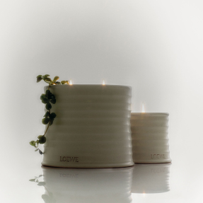OREGANO LARGE SCENTED CANDLE | 2120gr