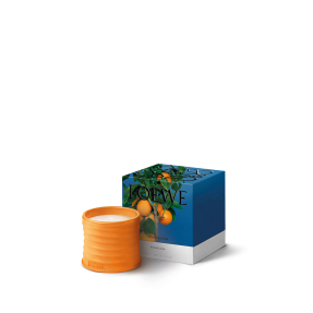 ORANGE BLOSSOM SMALL SCENTED CANDLE | 170gr