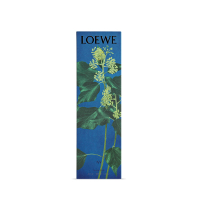 LOEWE IVY INCIENSO REFILL