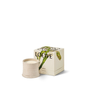TUBEROSE SCENTED CANDLE | 170gr