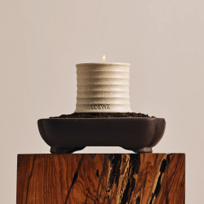 TUBEROSE SCENTED CANDLE | 170gr