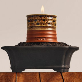 MIMOSA SCENTED CANDLE | 170gr